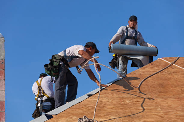 Professional Roofing Contractor in Silt, CO